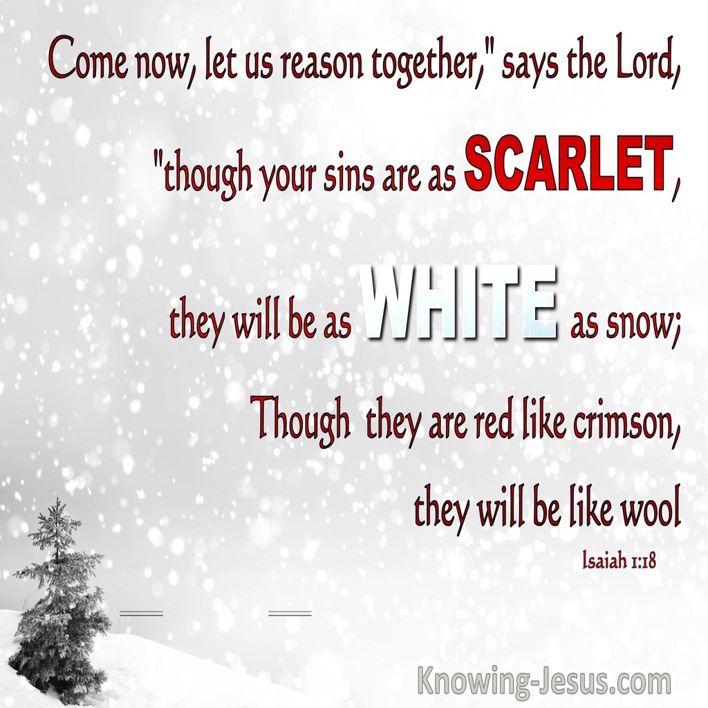Isaiah 1:18 Sins That Are Scarlet Will Be White As Wool (white)